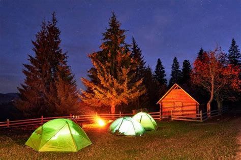 Tents In Forest — Stock Photo © Dovapi 61864299