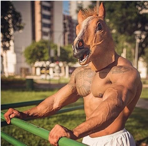 Scandalous Brazilian Muscle Horse Marcilio Cavalo Laptrinhx News