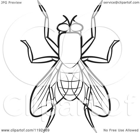 Clipart Of A Black And White House Fly Royalty Free Vector