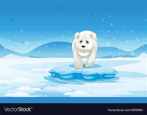 A Sad Polar Bear Standing Above The Iceberg Vector Image