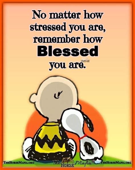 Pin By Azzua Jalil On Happiness ️ Snoopy And Peanuts Snoopy Quotes