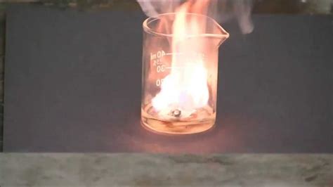 There is release of energy or heat in the reaction. Potassium metal reacts with concentrated sulfuric acid ...