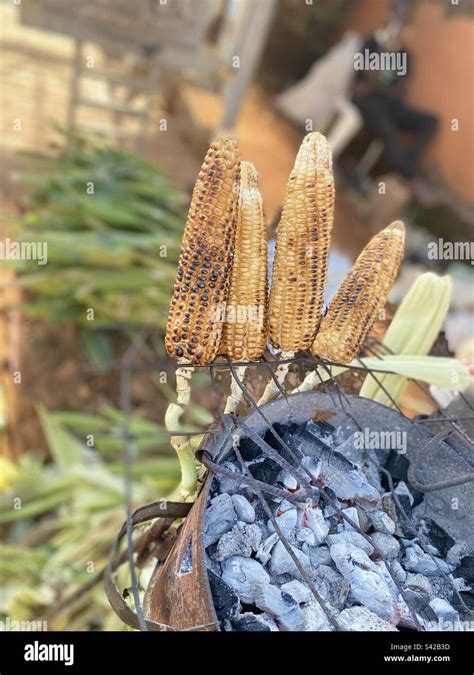 Fire Roasted Corn On The Cob Stock Photo Alamy