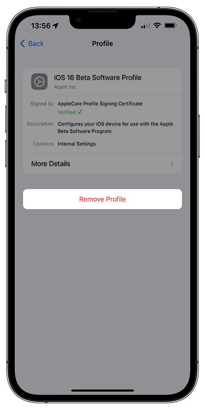 Ios 17 Beta Download Profile