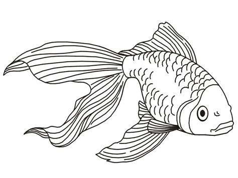 Part coloring, part puzzle, all fun! Printable Goldfish Coloring Pages | Fish coloring page ...