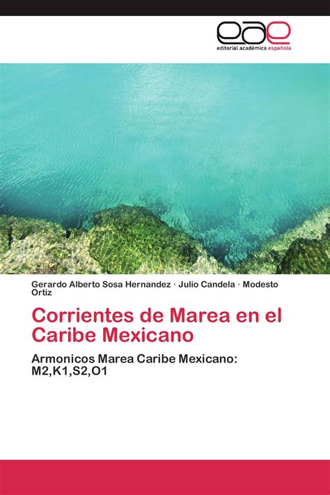 Corrientes De Marea En El Caribe Mexicano 978 3 8473 5132 0