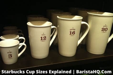 Crack The Code To Starbucks Cup Sizes Essential 2023 Guide