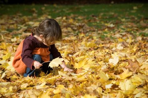 What To Plant With The Kids This Autumn Gardening 4 Kids
