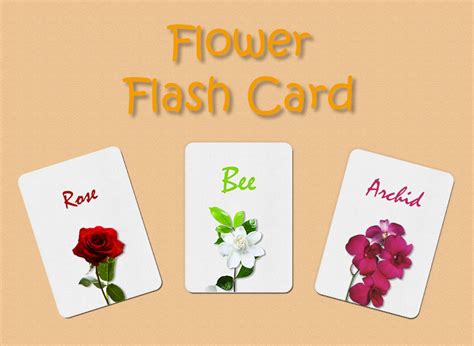 10 Flash Card Free Psd Template Template Business Psd Excel Word Pdf