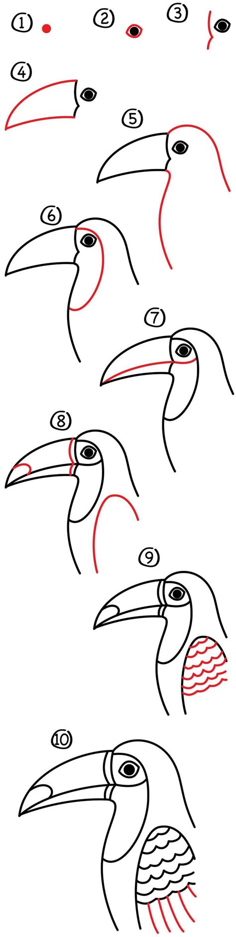 How To Draw A Realistic Toucan Art For Kids Hub
