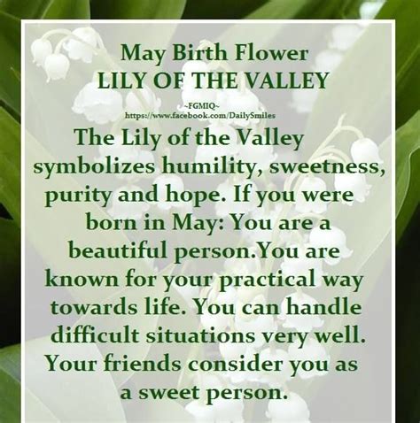 May Birth Flower Lily Of The Valley May Birth Flowers Lily Of The