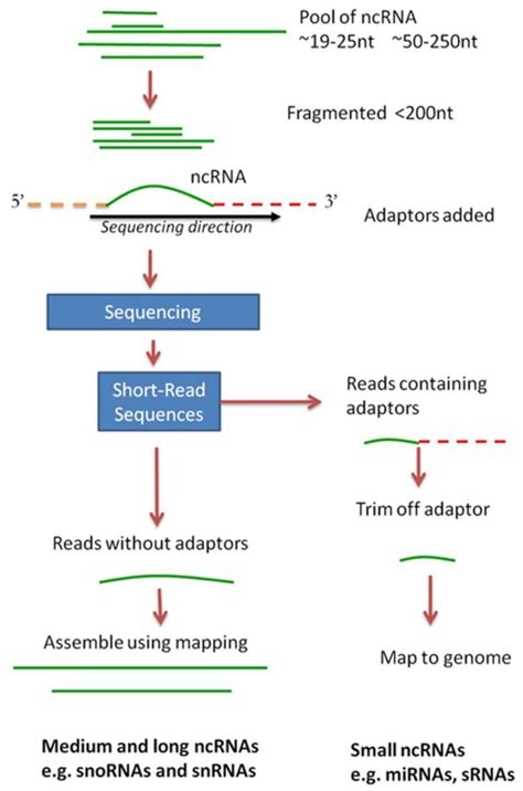 A General Approach For Using High Throughput Sequencing Data To Search