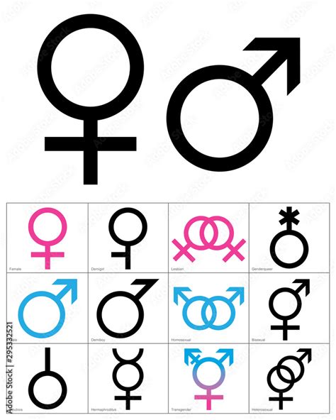 Stockvector Gender Symbols Linear Black Blue And Pink Colour Icons Of