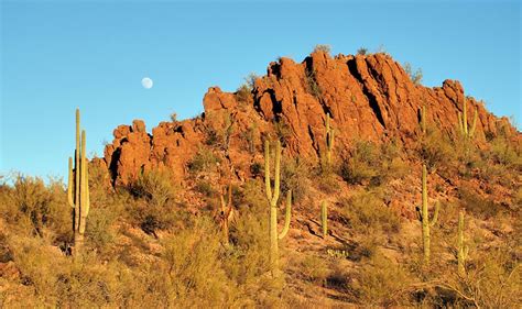 Sonoran Desert Sunset With Cactus Rising Moon Picture Rocks Saguaro