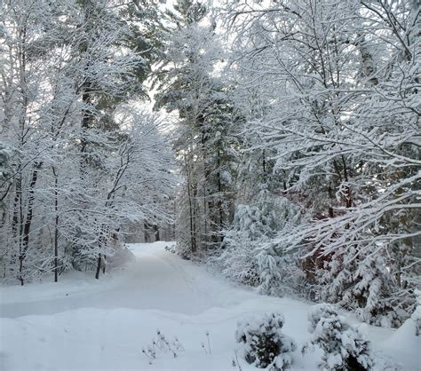 Free Stock Photo Of Snowy Road Snowy Trees Winter Landscape