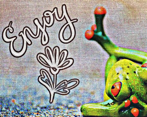 Frog Enjoy Tissue Free Image On Pixabay