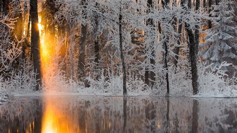 Magical Evening Magical Winter Scenes Cool Pictures