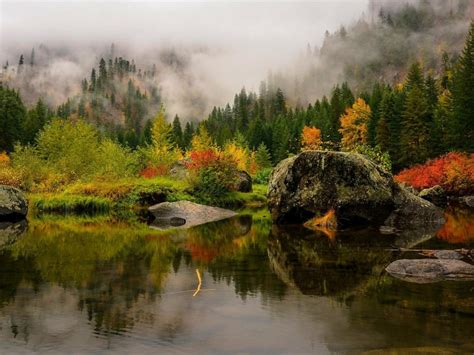 Fog Covered Autumn Leafed Trees Forest With Reflection On River Nature