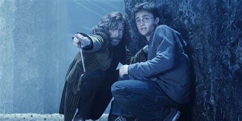 Harry Potter Things Everyone Gets Wrong About The Potters