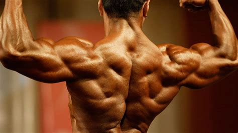 Maximizing Your Back Workout A Matter Of Inches And Unusual Techniques