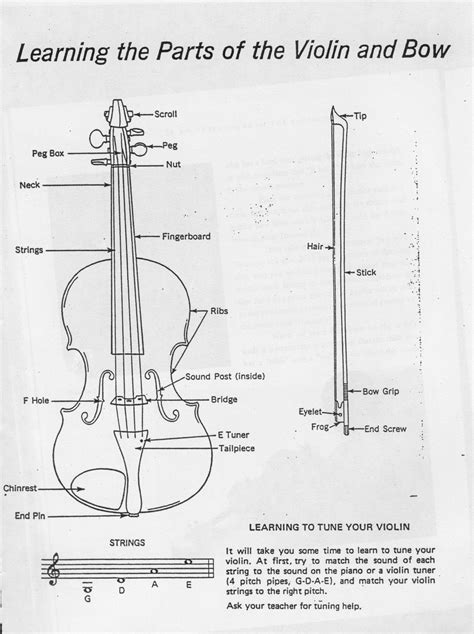 Let's put some labels for these sections and define the common things that occur in each section: violin bow diagram - Google Search | Violin bow, Violin, Violin strings