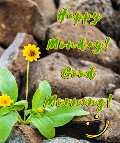 Good Monday Morning Wishes Images Quotes Happy Monday