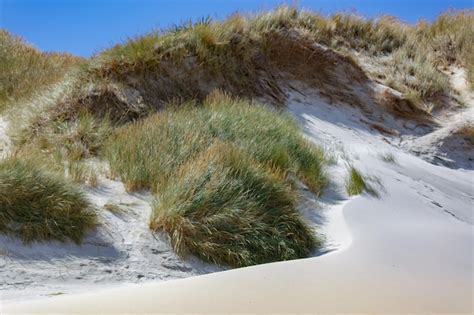 Premium Photo Sand Dunes At Sandfly Bay In New Zealand