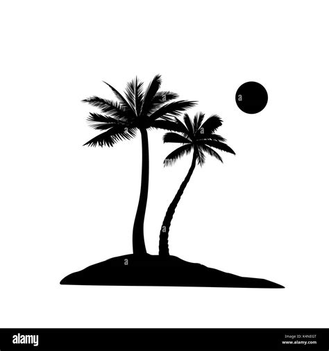 Palm Tree Silhouette Summer Holiday Nature Background Beach Resort
