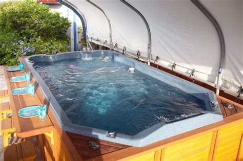 Located in west tampa, tahitian inn & spa tampa offers a great night of sleep so you're well rested for the next day. Swim Spa Photo Gallery by Spa Manufacturers, Inc. | Swim ...