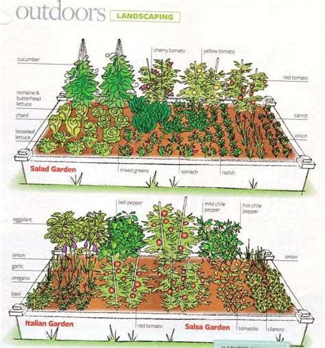 Ideas For Small Raised Bed Herb Garden Layout