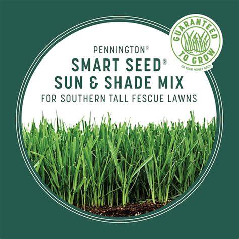 Pennington Smart Seed 3 Lbs Sun And Shade South Grass Seed And