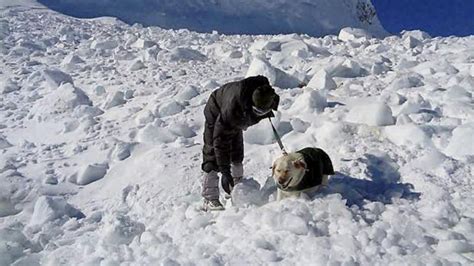 four indian army soldiers among six people killed in avalanche in siachen glacier news nation