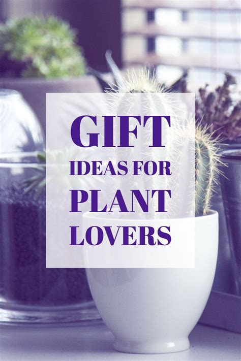 Check spelling or type a new query. Gift Ideas for Houseplant Lovers — Leah Wachna | Plant ...