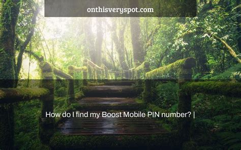 How Do I Find My Boost Mobile Pin Number On This Very Spot