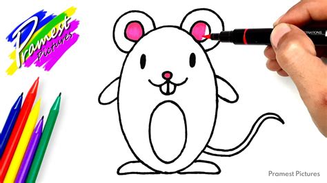 Check spelling or type a new query. Tikus | Cara Menggambar dan Mewarnai Gambar Hewan untuk ...