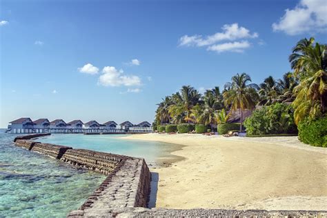 La Playa De Arenas Blancas De Las Islas Maldivas Foto De Stock Y Más