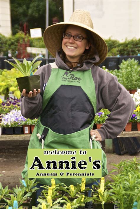 Casey Showing The New Stock Of Annies Annuals Casey Annual Mission