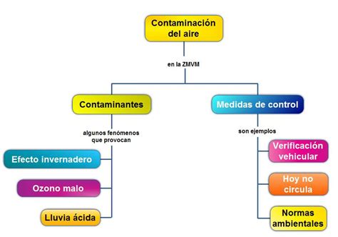 Mapa Conceptual De La Contaminaci N Gu A Paso A Paso