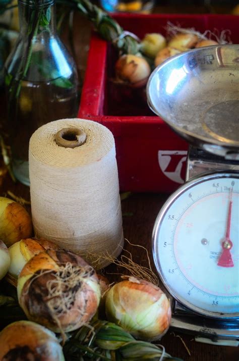 How To Braid And Store Onions The Elliott Homestead