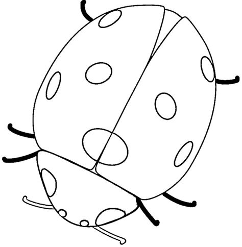 Download and print these printable ladybug coloring pages for free. Free Printable Ladybug Coloring Pages For Kids