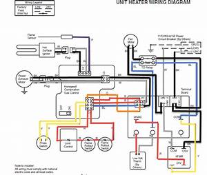 Modine Heater Wiring Diagram Conlynaiman