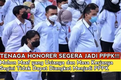 Mohon Maaf Honorer Yang Berusia Segini Tidak Akan Diangkat Jadi Pppk