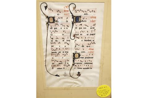 Bargain hunter scores 700-year-old medieval times document | AP News