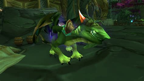 Zoya The Veridian Netherwing Drake Quest World Of Warcraft