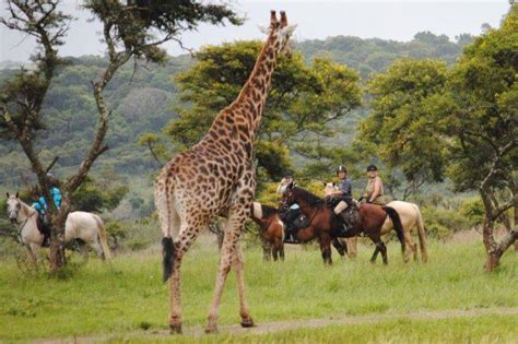 Uganda Safaris Review Guide Kidepo Valley National Park