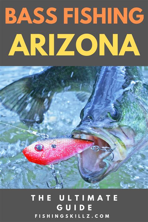 Best Bass Fishing In Arizona Top 7 Spots To Hit In Year Fishing