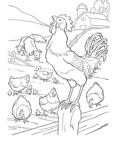 Desenhos De Animais Para Colorir De Fazenda 670×820 Farm Animal