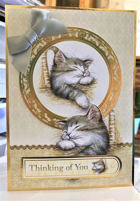 Hunkydory Cats Life Collection House Cat Greeting Card