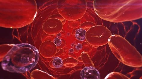 Recuperación De La Expresión De La Hemoglobina Fetal Para Tratar La Anemia Falciforme Femexer