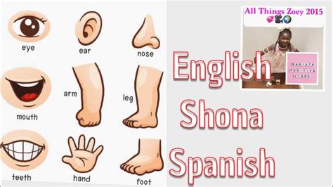 Head Shoulders Knees And Toes Learn Parts Of The Body In English